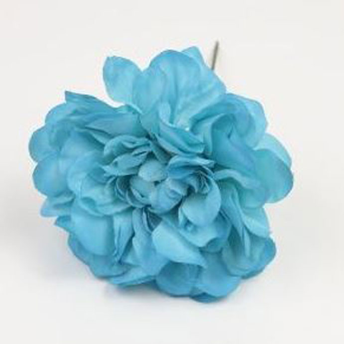 Zinnia. Fleur de Flamenco. Turquoise. 9cm